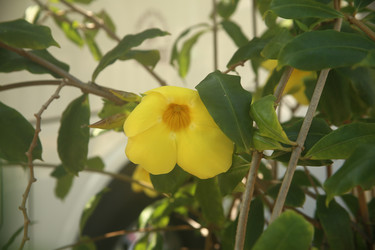 Similar image 22349656