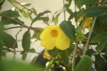 Similar image 22349658