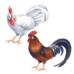 Similar image 22349890