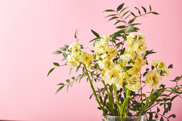 Similar image 22351271