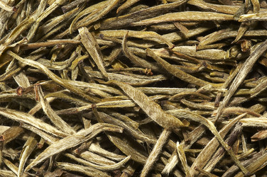 Similar image 22361455