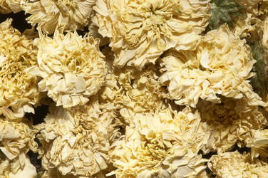 Similar image 22361469