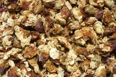 Similar image 22361483