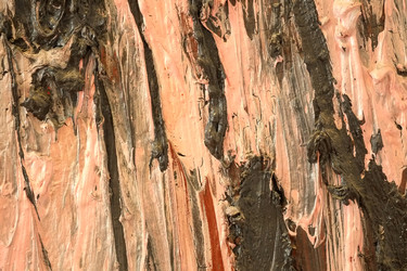 Similar image 22361618