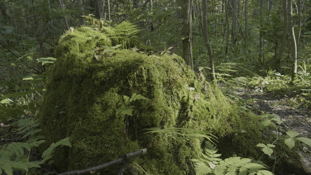 Similar image 22369375