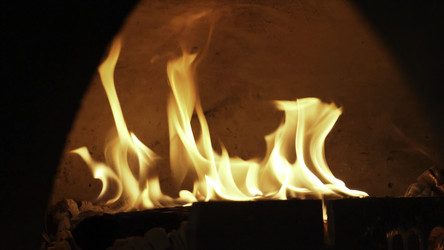 Similar image 22369599