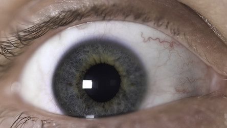 Similar image 22369720