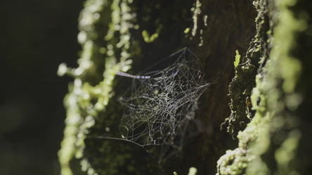 Similar image 22369906