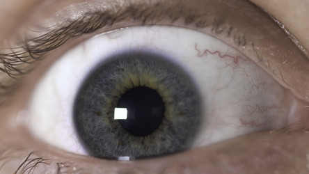 Similar image 22369332