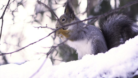 Similar image 22369889