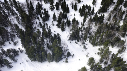 Similar image 22370000