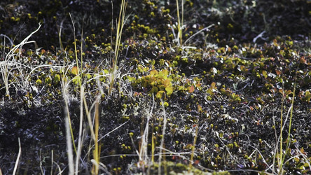 Similar image 22370079