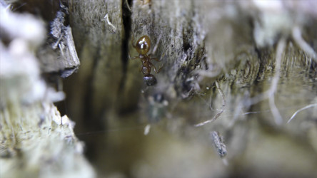 Similar image 22370095