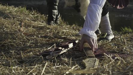 Similar image 22370285