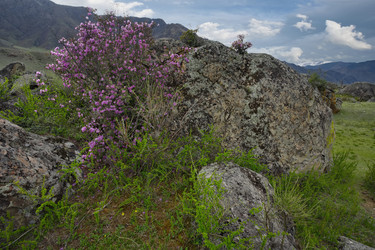 Similar image 22348192