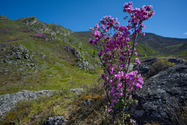 Similar image 22348194