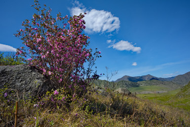 Similar image 22348197