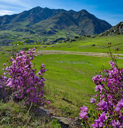 Similar image 22348198