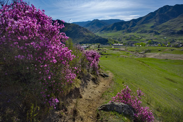 Similar image 22348200