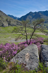 Similar image 22348203