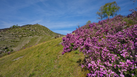 Similar image 22348206