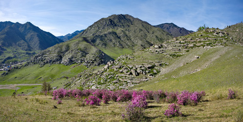 Similar image 22348207