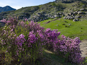 Similar image 22348218