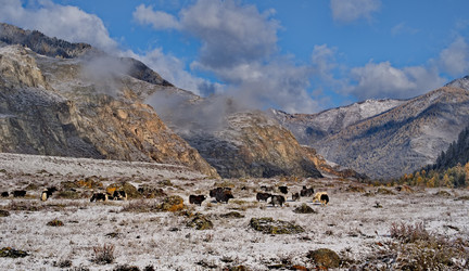 Similar image 22348227