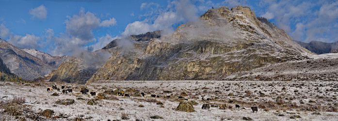 Similar image 22348230