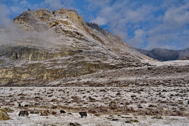 Similar image 22348233