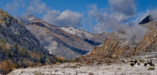 Similar image 22348236