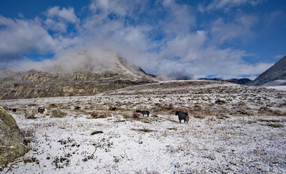 Similar image 22348237