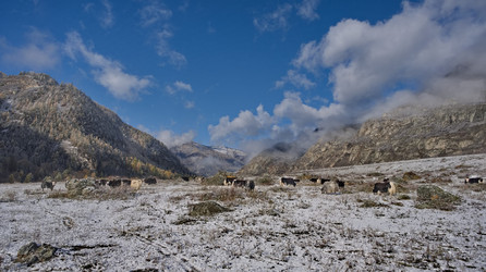 Similar image 22348239