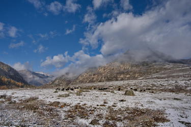 Similar image 22348242