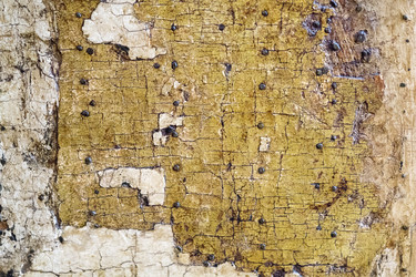 Similar image 22361950