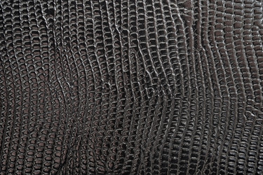 Similar image 22362250