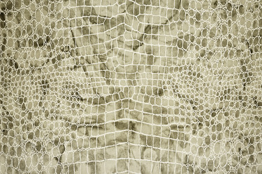 Similar image 22362279