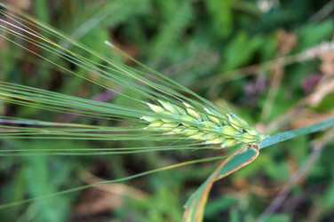 Similar image 22348637