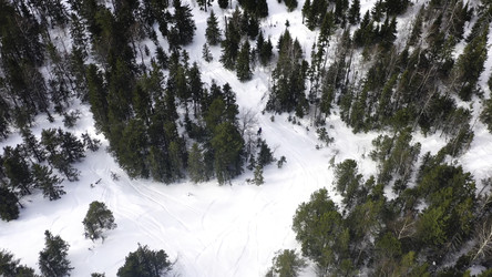 Similar image 22368044