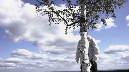 Similar image 22368341