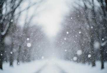 Similar image 22390912