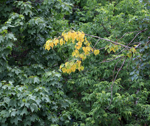 Similar image 22380496