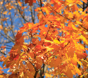 Similar image 22380526