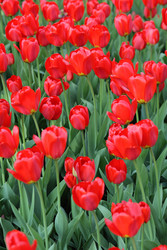 Similar image 22352426