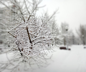 Similar image 22352459