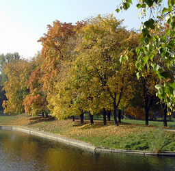 Similar image 22352518