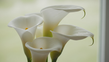 Similar image 22350919