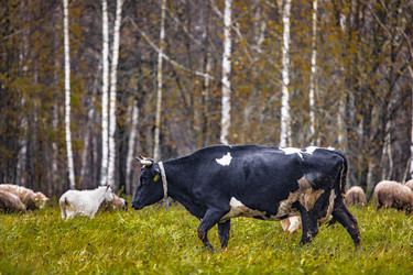 Similar image 22349563