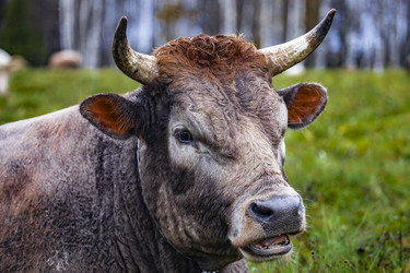 Similar image 22349565