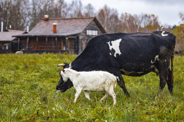 Similar image 22349566